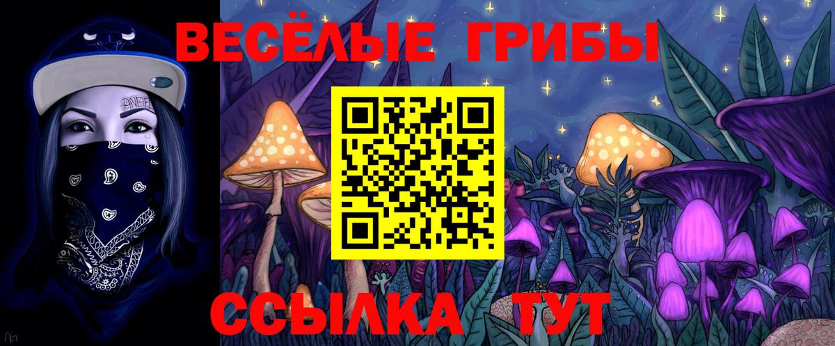Псилоцибиновые грибы Psilocybine cubensis  Вход с VPN  Самара  Галлюциногенные грибы Cubensis 